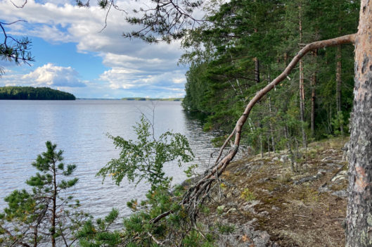 Järvimaisema