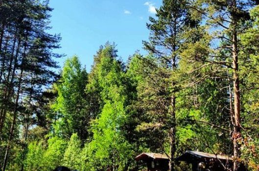 Mökkejä Saksalassa