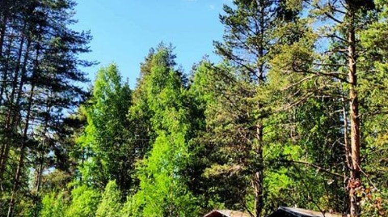 Mökkejä Saksalassa