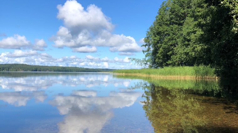 Rantamaisema