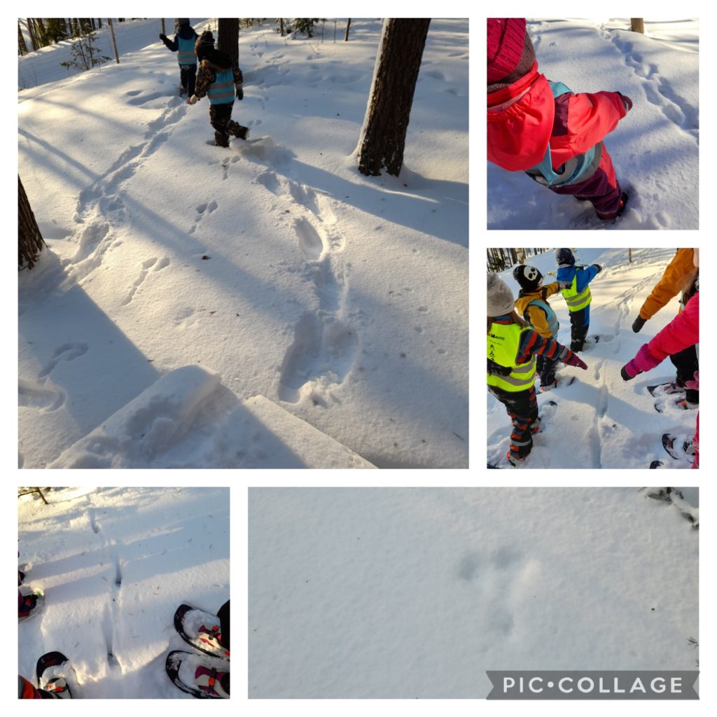 Lapset löysivät lumesta eläinten jälkiä