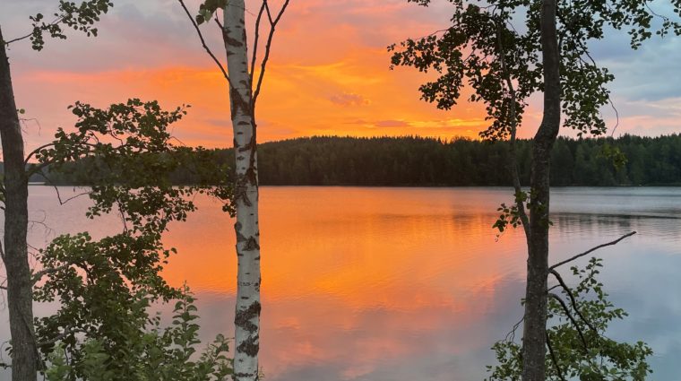 Rantapuita ja värikäs ranta- ja iltataivasmaisema