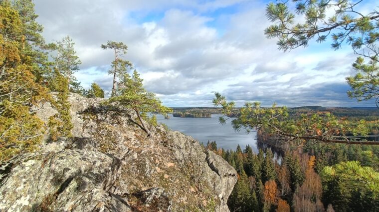 Näkymä Rautvuoren kallion laelta, muutama pieni puu ja pilvinen taivas järven yllä.