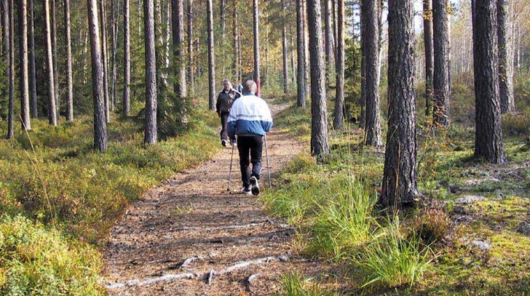 Sauvakävelijöitä polulla