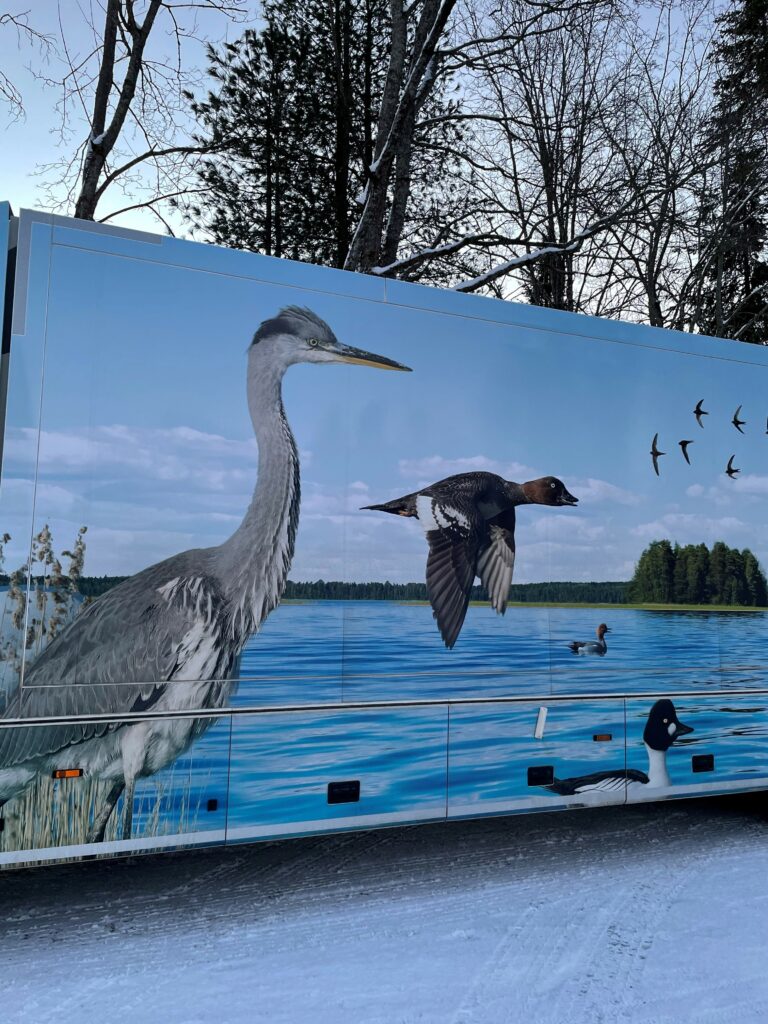 kirjatoauton kyljen lintukuvia hämärässä talvimaisemassa.
