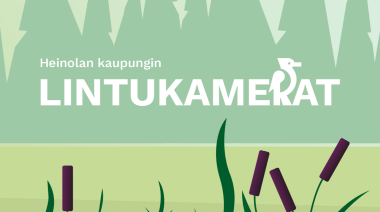 Lintukameroiden logo, jossa taustalla metsää, keskellä järvi ja edustalla osmankäämejä