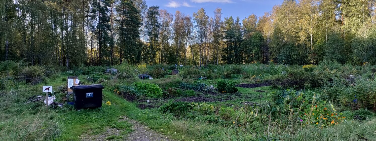 Viljelypalsta