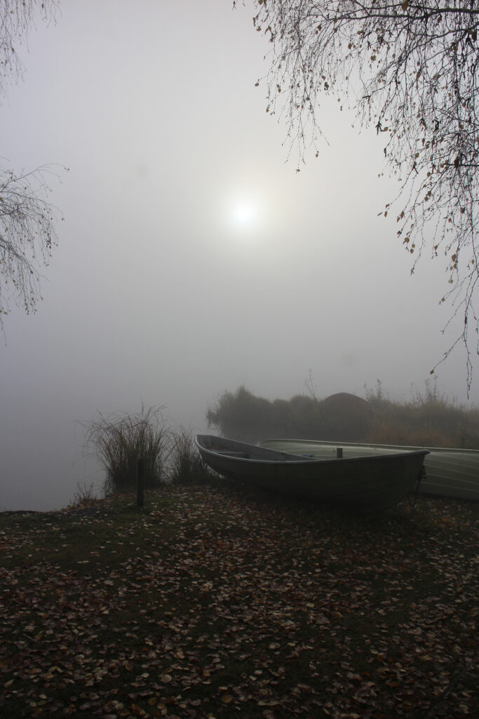 kuvassa soutuvene, sumua ja auringon kajo aamun hämärässä