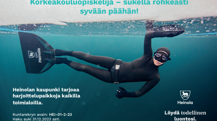 korkeakouluharjoittelijoiden haku