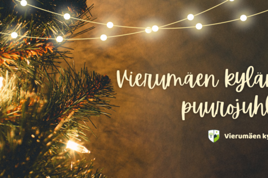 Kuusen oksa ja valoja.