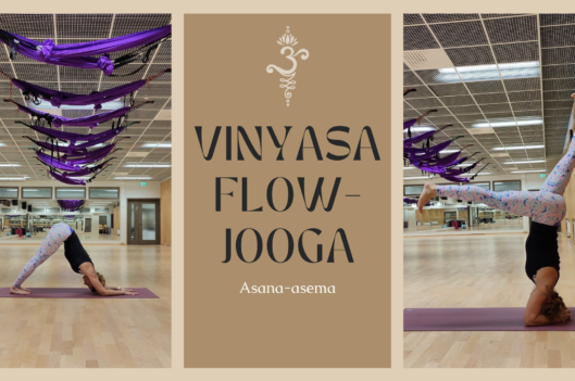 Vinyasa flow