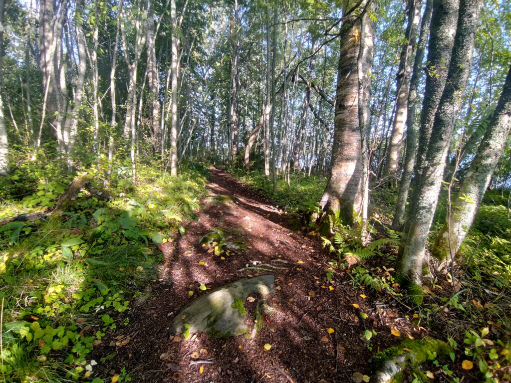 Luontopolku