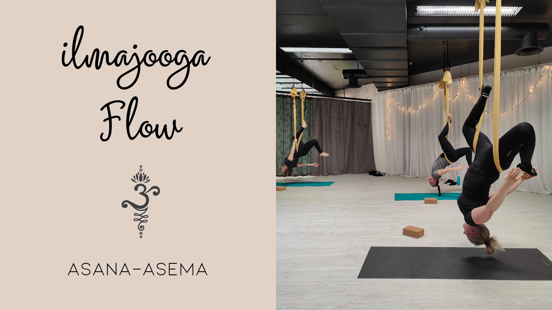 Kuvassa kolme henkilöä ilmajoogaliinoissa pää alaspäin Asana-aseman joogastudiolla.