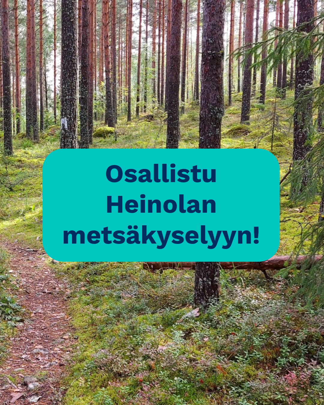 Taustalla metsää sekä kehote osallistua metsäkyselyyn