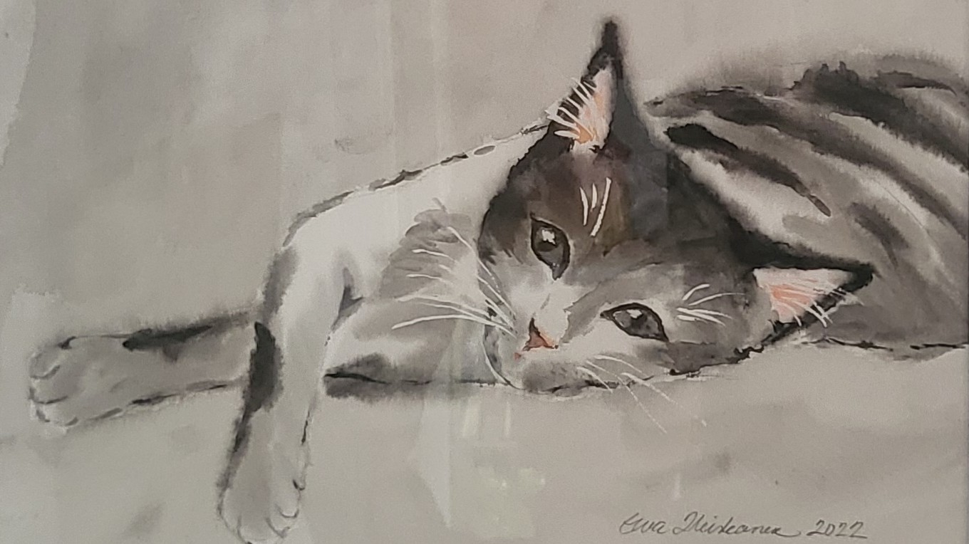 Luonnon helmasta kissanpäiviin