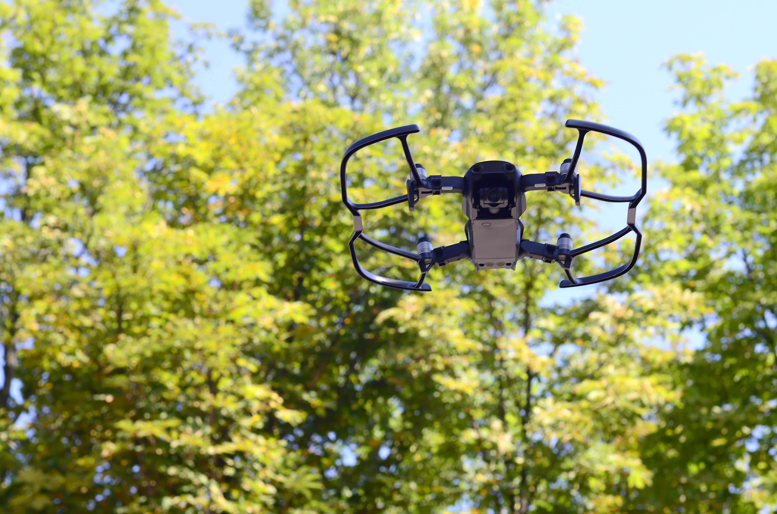drone metsässä