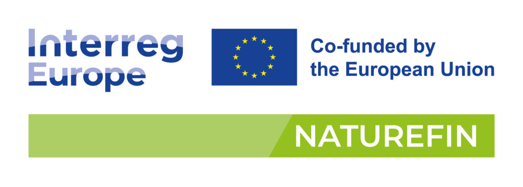 Naturefin logo