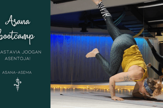 Asana bootcamp – haastetta harjoitukseen