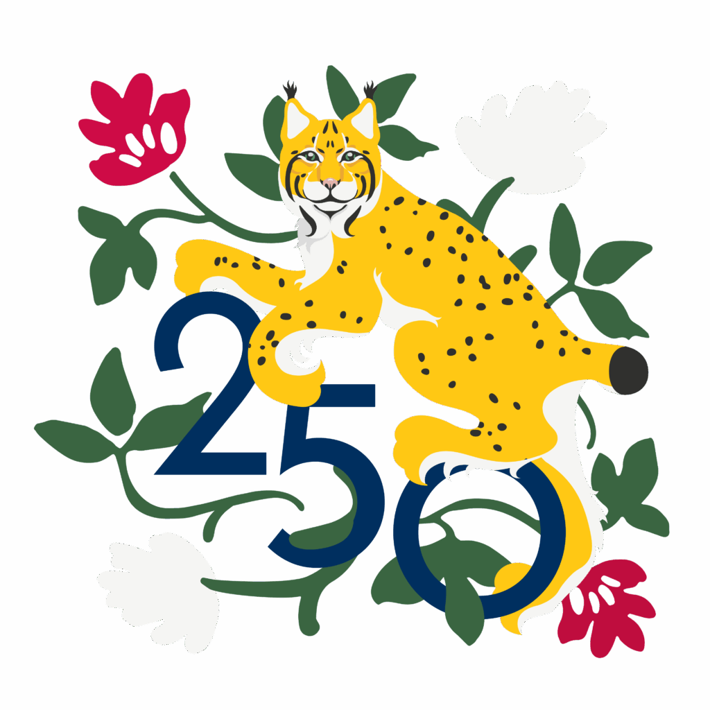 Heinola 250 juhlavuoden logo 1