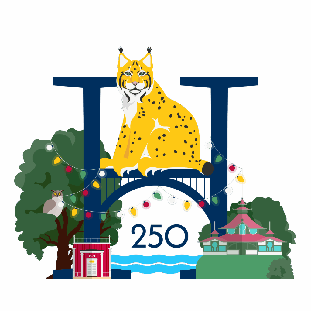 Heinolan juhlavuoden logo 2