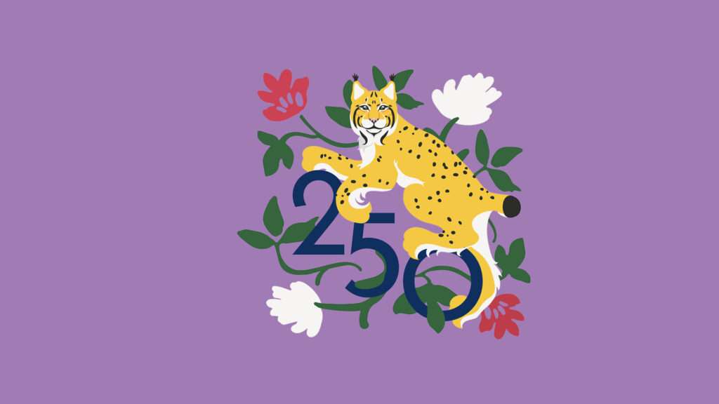 250-vuotisjuhlavuoden ilme.