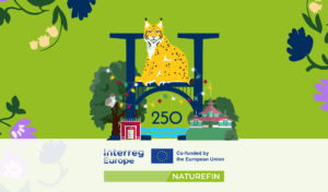NATUREFIN-logo ja juhlavuoden kuvitus