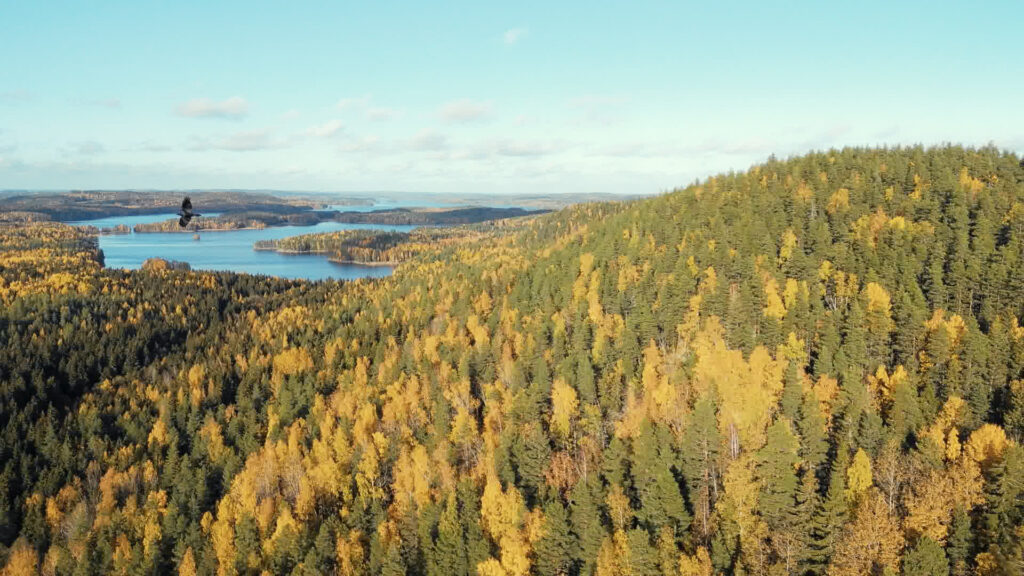 Sysmän Kammiovuori ilmakuva