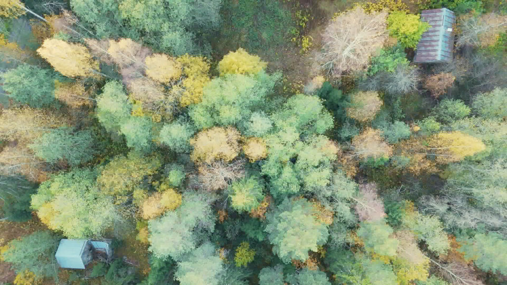 Suojelualue Sysmässä