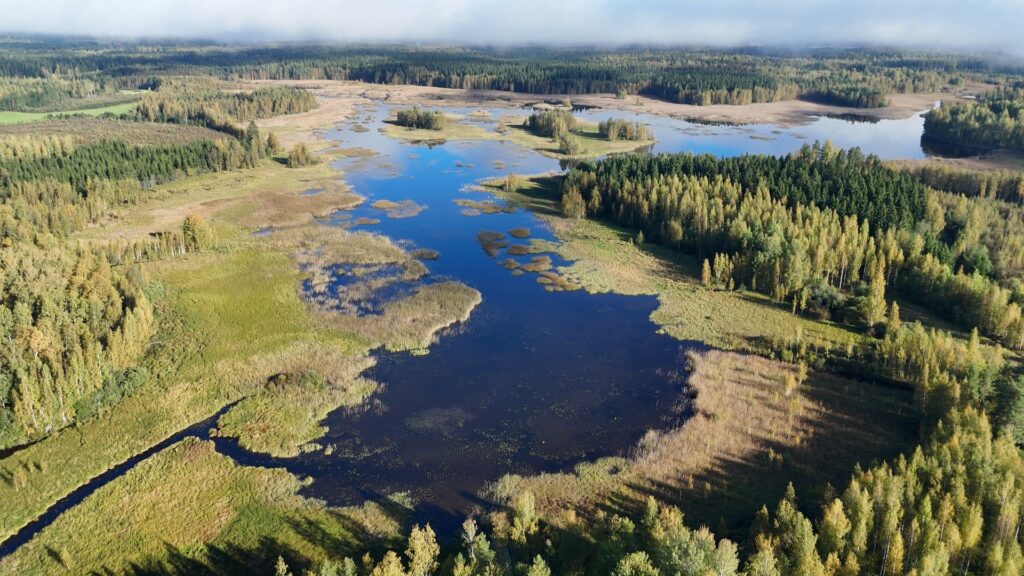Hartolan Pikku Leppälahti. Helmi-keskittymän lintuvesikohde