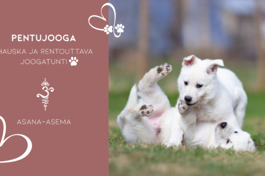 Pentujooga