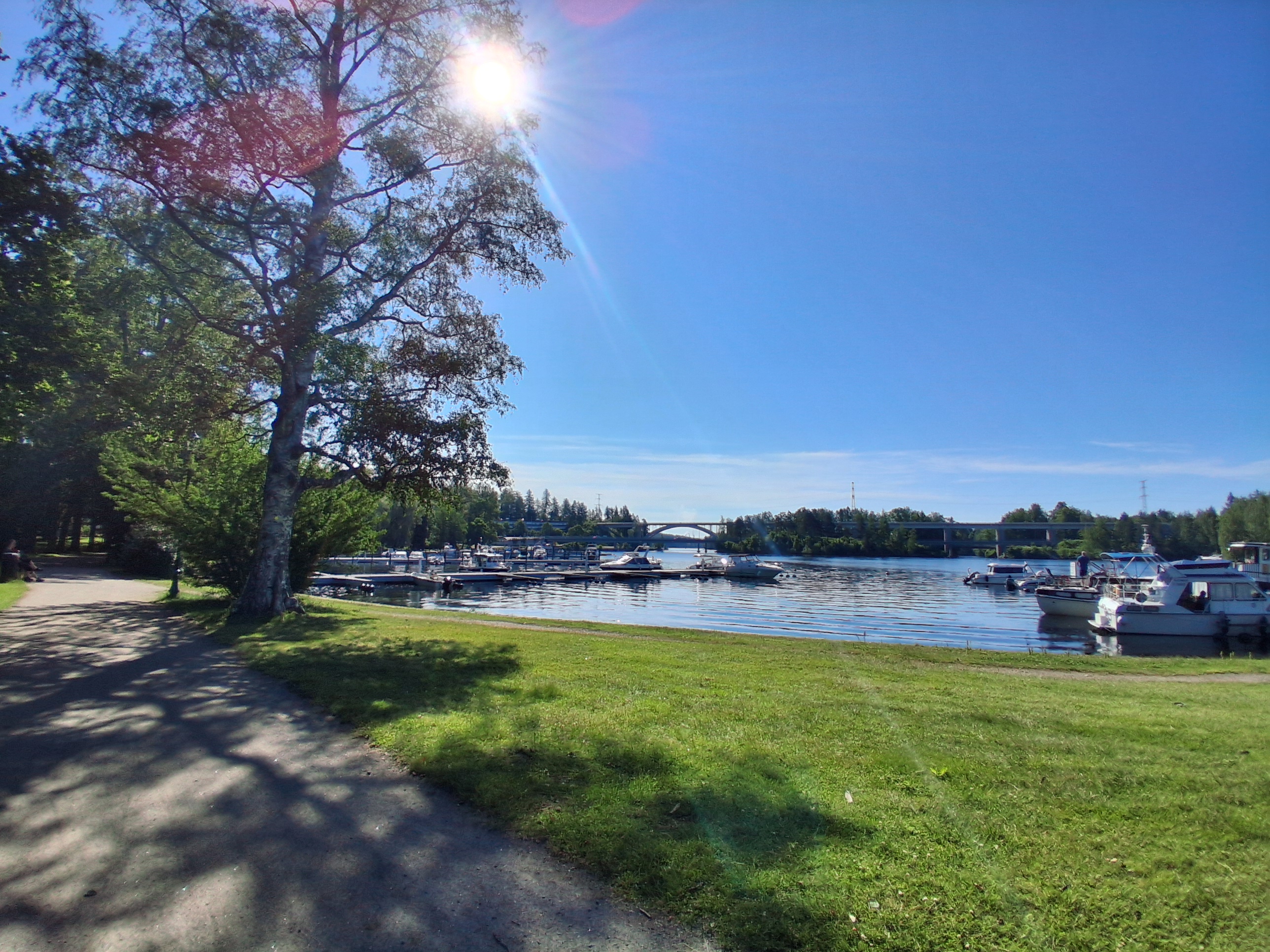 Rantapuisto kesällä