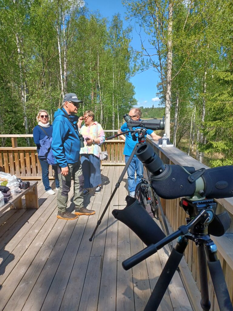 Lintubongausta Isiäisellä.