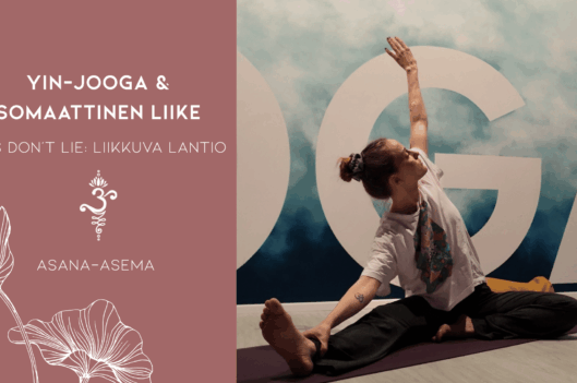 Yin-jooga & somaattinen liike