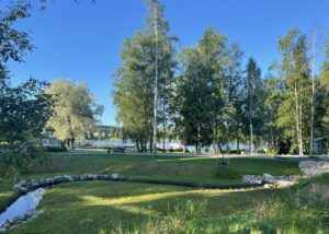 Ojakadun hulevesikosteikko heinäkuussa 2026