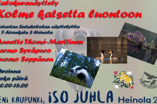 Kolme katsetta luontoon