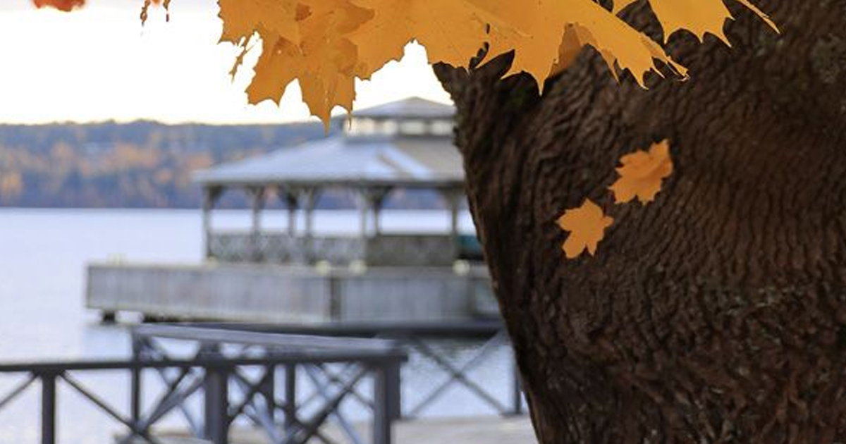 VisitLahti syksyinen kuva
